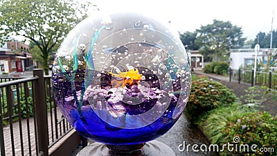 Sea â€‹â€‹fauna carved in glass ,Tsukiyono Vidro Park Editorial Stock Photo